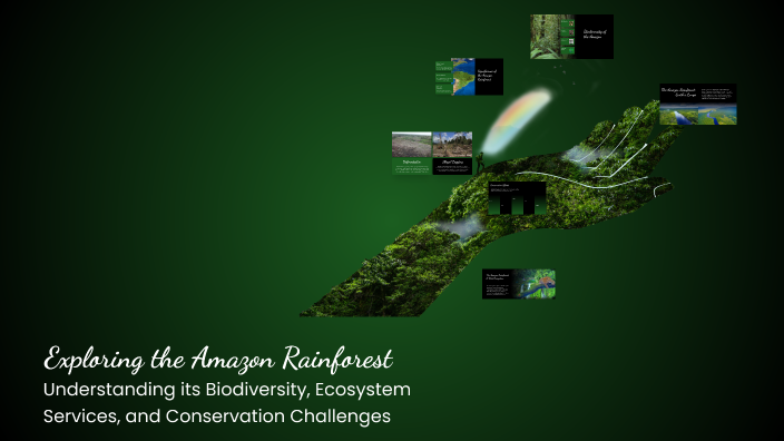 Exploring the Amazon Rainforest by tea MERABI on Prezi
