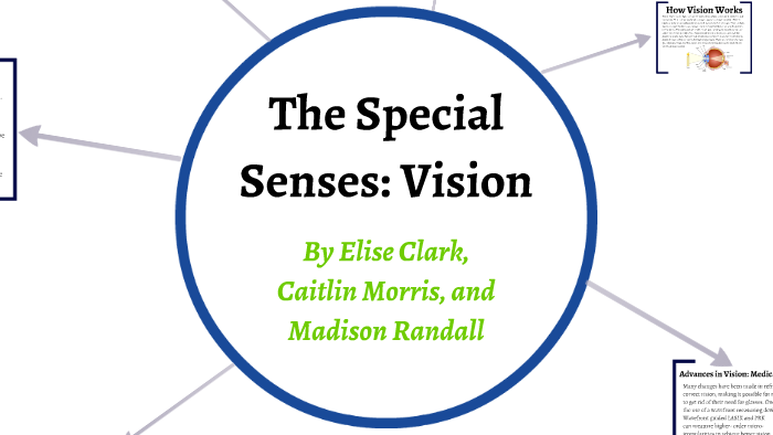 The Special Senses: Vision By Caitlin Morris