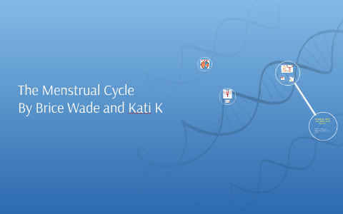 The Menstrual Cycle by Brice Wade on Prezi