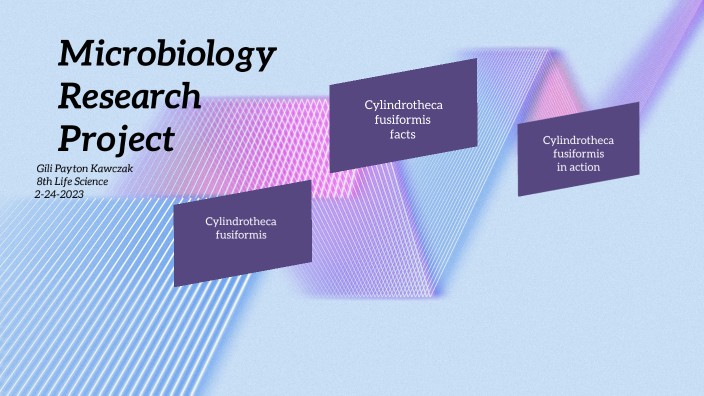 microbiology research projects for undergraduates