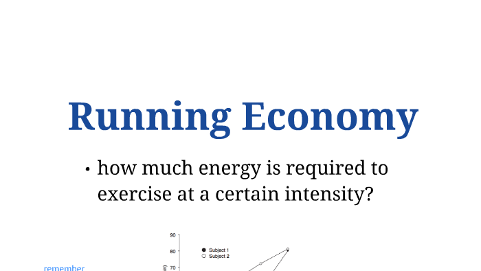 define endurance economy