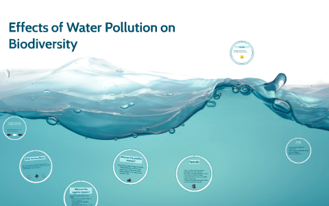 Effects Of Water Pollution On Biodiversity By Tyler Erickson On Prezi Effects Of Water Pollution On Biodiversity By Tyler Erickson On Prezi