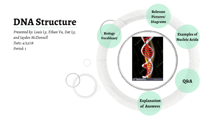 DNA Structure by Louis Ly on Prezi
