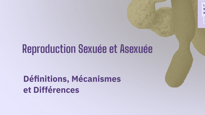 Reproduction Sexuée et Asexuée by Imene Ayedi on Prezi