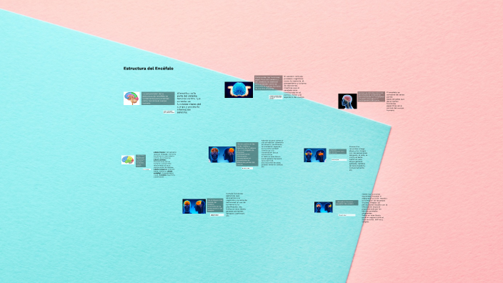 Estructura del Encéfalo by Jessica Ayelen Maurel Castellano on Prezi