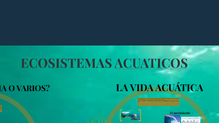 ECOSISTEMAS ACUATICOS by lizeth paola ariza chavez on Prezi