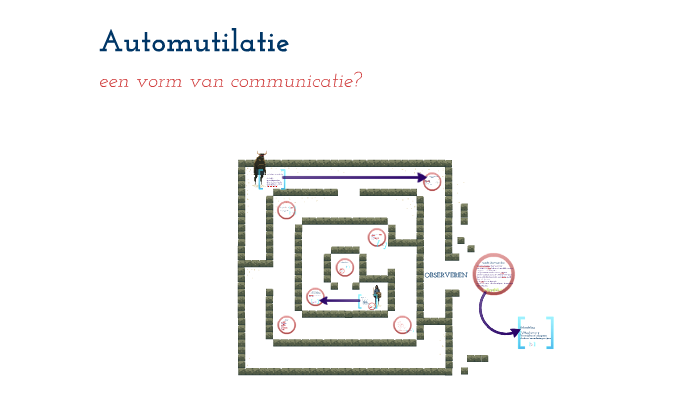 Automutilatie by S. v. D. on Prezi