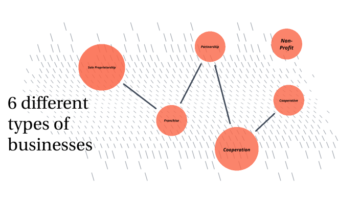 different types of business by Oliviana E Murray-Nybom on Prezi