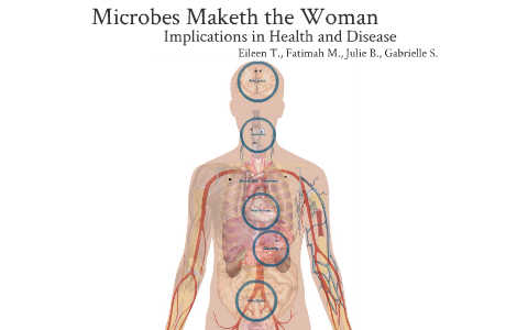 Microbiome Implications with health and disease by Eileen Tran on Prezi