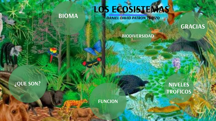 LOS ECOSISTEMAS by Daniel David Patrón Turizo on Prezi