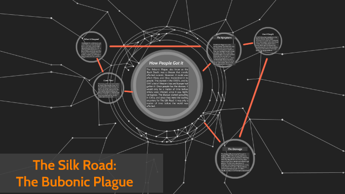 diseases-spread-from-the-silk-road-by-stella-dicicco