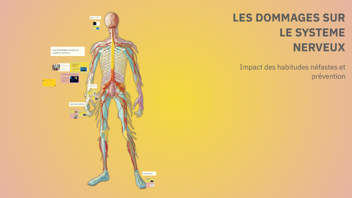 LES DOMMAGES SUR LE SYSTEME NERVEUX by Jia on Prezi