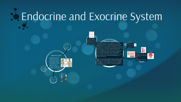 Endocrine And Exocrine System By Lalaine Esguerra