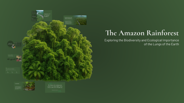 The Amazon Rainforest by daan vanderkaa on Prezi