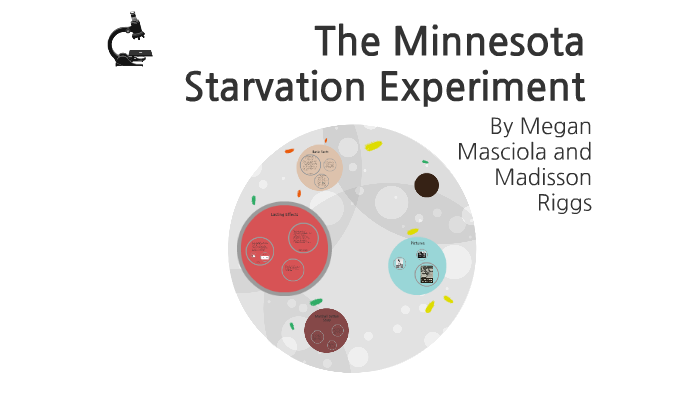 the minnesota starving experiment