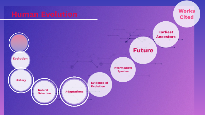 Human Evolution by EMILIE THOMPSON on Prezi