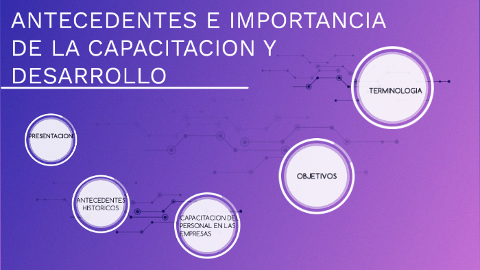 ANTECEDENTES E IMPORTANCIA DE LA CAPACITACION Y DESAROLLO by Cinthia