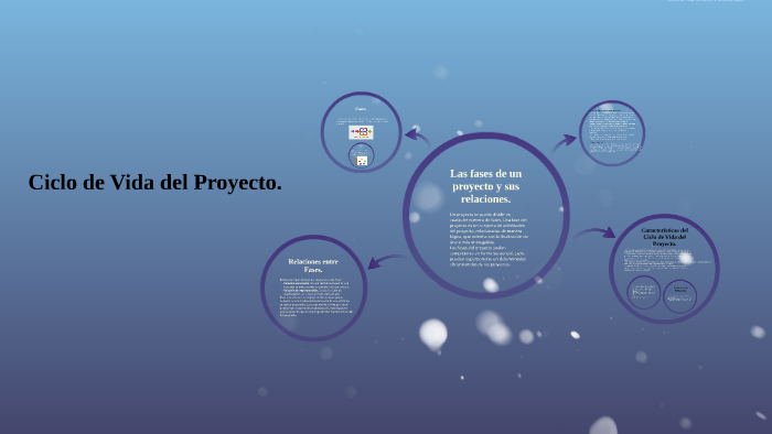 Ciclo de Vida del Proyecto. by Raquel Naranjo on Prezi