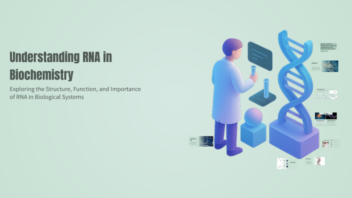 Understanding RNA in Biochemistry by Princess on Prezi