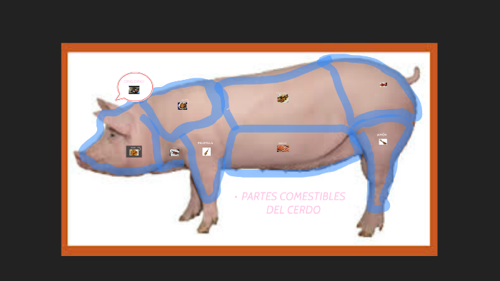 Partes Comestibles Del Cerdo By Elena Sanmi On Prezi 6515
