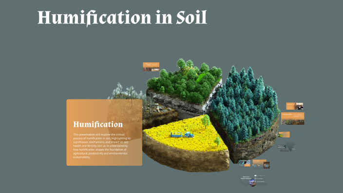 The Humification Process Humification in Soil by Di Han on Prezi