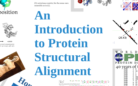 Protein Structure Alignment by Michael Lappe on Prezi