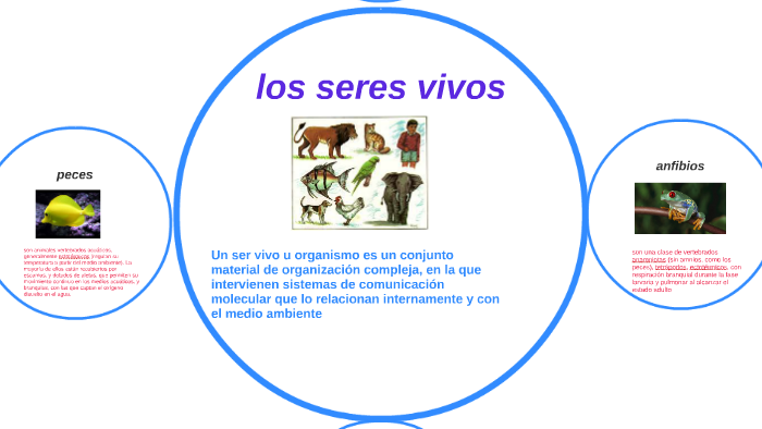 los seres vivos by yuwang gonzales guerra on Prezi