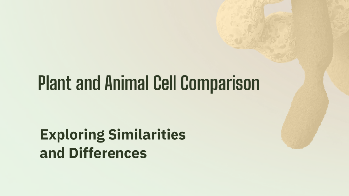 Plant and Animal Cell Comparison by Junejoy Espinosa on Prezi