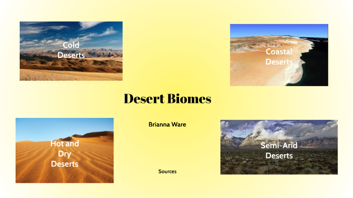hot desert biome location