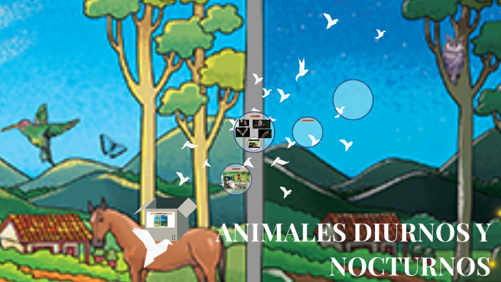 ANIMALES DIURNOS Y NOCTURNOS by MONICA PATRICIA CARRILLO on Prezi Next