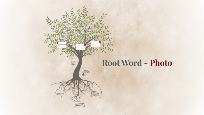 Root Word - Photo by Morgan O'D on Prezi