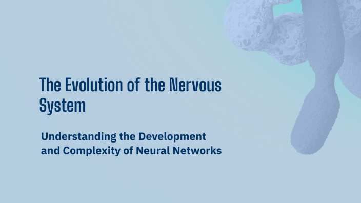 The Evolution of the Nervous System by Lina Sofia Niño Pedraza on Prezi