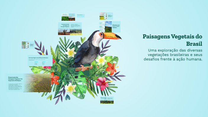 Paisagens Vegetais do Brasil by Prof. Milton Cruz on Prezi