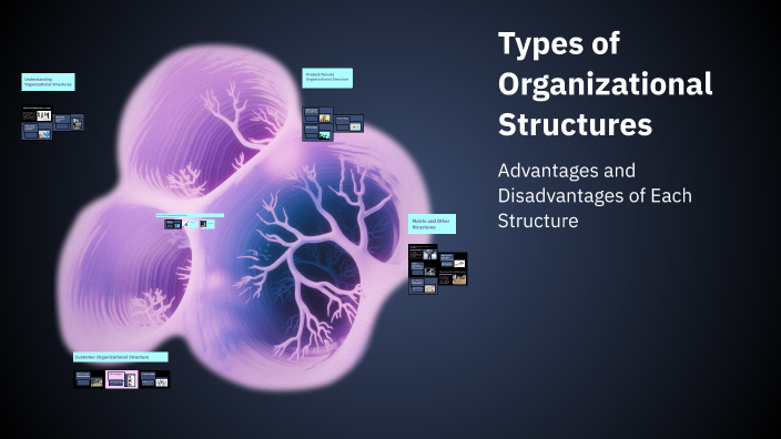 Types of Organizational Structures by Monica Liorca Abarcar on Prezi
