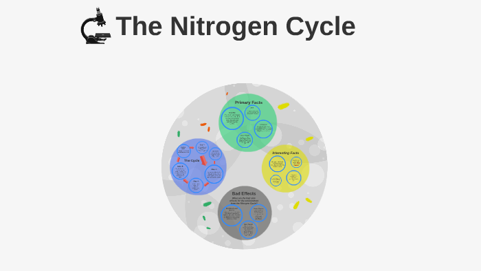 Nitrogen Cycle by Hannah Ratcliff on Prezi