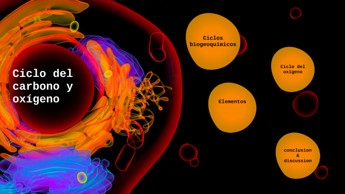 CICLO DE CARBONO Y OXIGENO by Owen James De la Cruz Miranda on Prezi