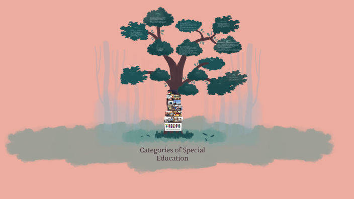 Teaching Exceptional Learners: 13 Categories of Special Education by ...