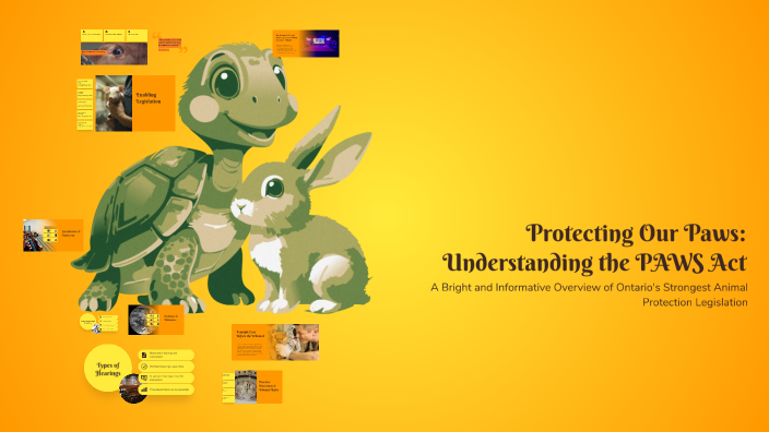Paws For Understanding Protecting Our Paws: Understanding the PAWS Act by Uvneet Jassal on Prezi