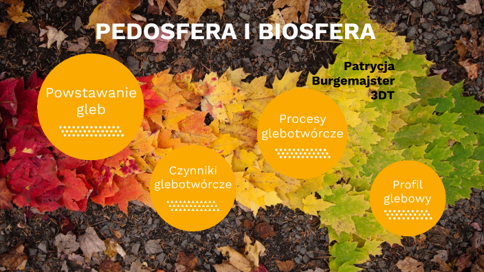 Pedosfera i biosfera by Patrycja Burgemajster on Prezi