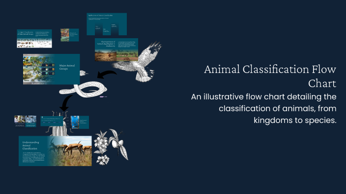 Animal Classification Flow Chart by laurence anne on Prezi