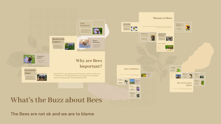 What's the Buzz about Bees by Connor Hardie on Prezi