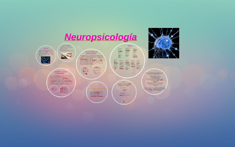 Neuropsicología by Annette Ramírez Sánchez on Prezi Next