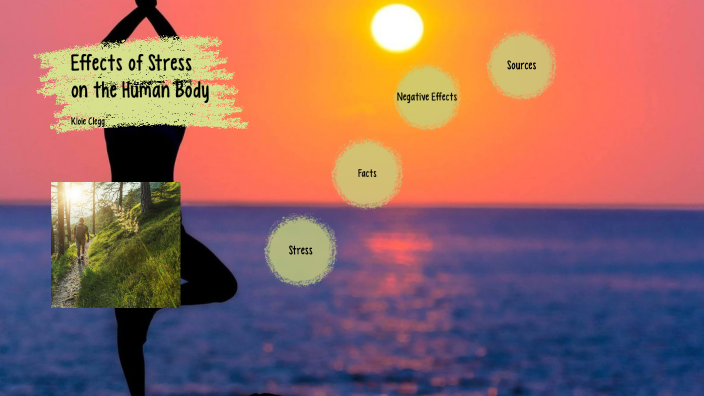 Effects of Stress on the Human Body by Kloie Clegg on Prezi
