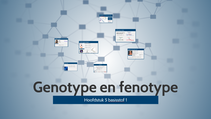 2H Genotype En Fenotype By Nina Boom