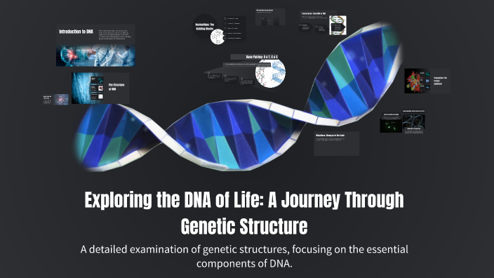 Exploring the DNA of Life: A Journey Through Genetic Structure by BRYAN ...