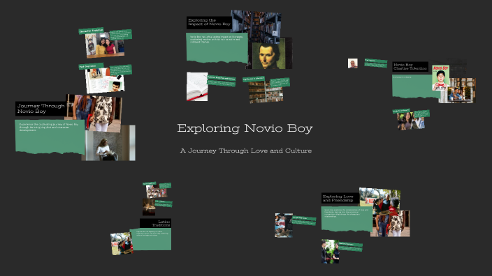 novio visual data 4