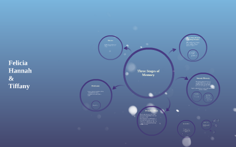 Three Stages of Memory by on Prezi