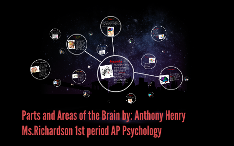 Parts and Areas of the Brain by on Prezi