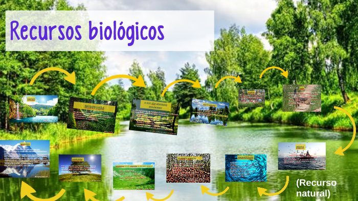 Recursos Biologicos By Margarida Janeiro Varela On Prezi 3295