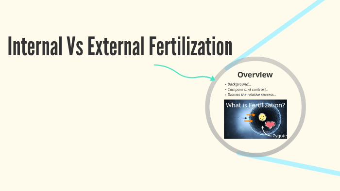 internal-vs-external-fertilisation-by-julen-reyes